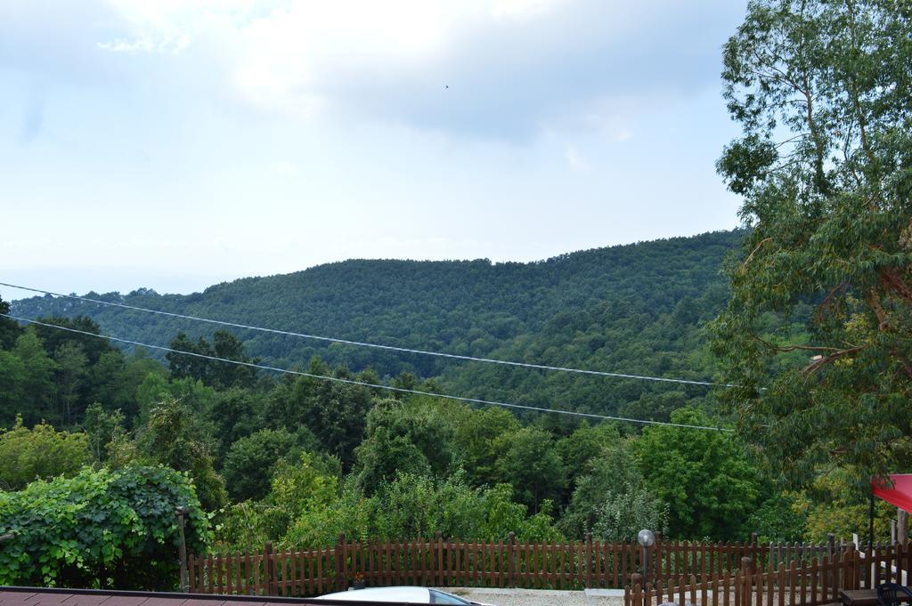 Serrastretta Agriturismo E Turre מראה חיצוני תמונה