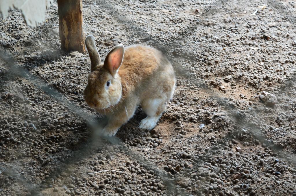Serrastretta Agriturismo E Turre מראה חיצוני תמונה